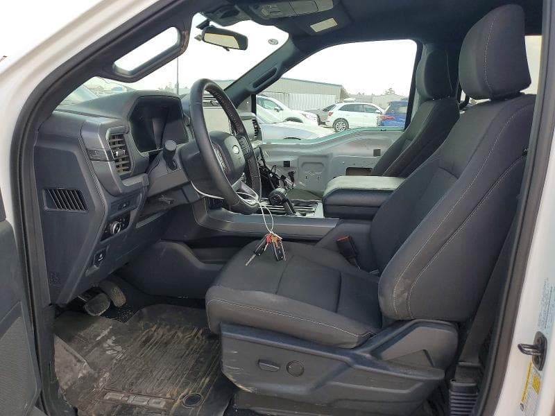 2025 FORD F150 XLT 7