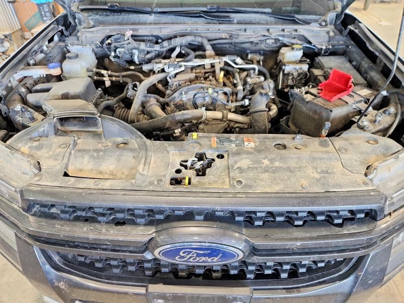 2025 FORD RANGER XLT 11