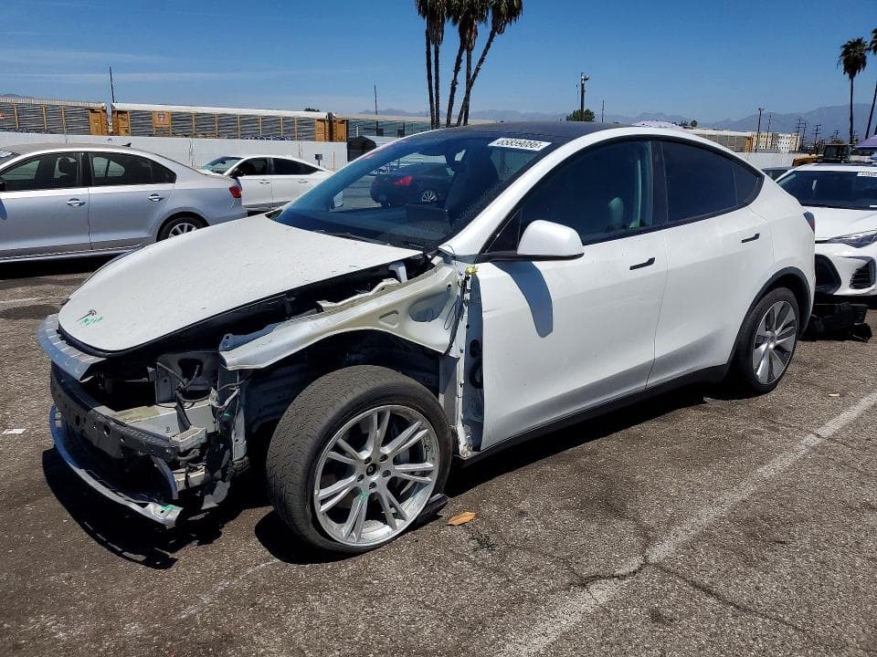 2022 TESLA MODEL Y - 1