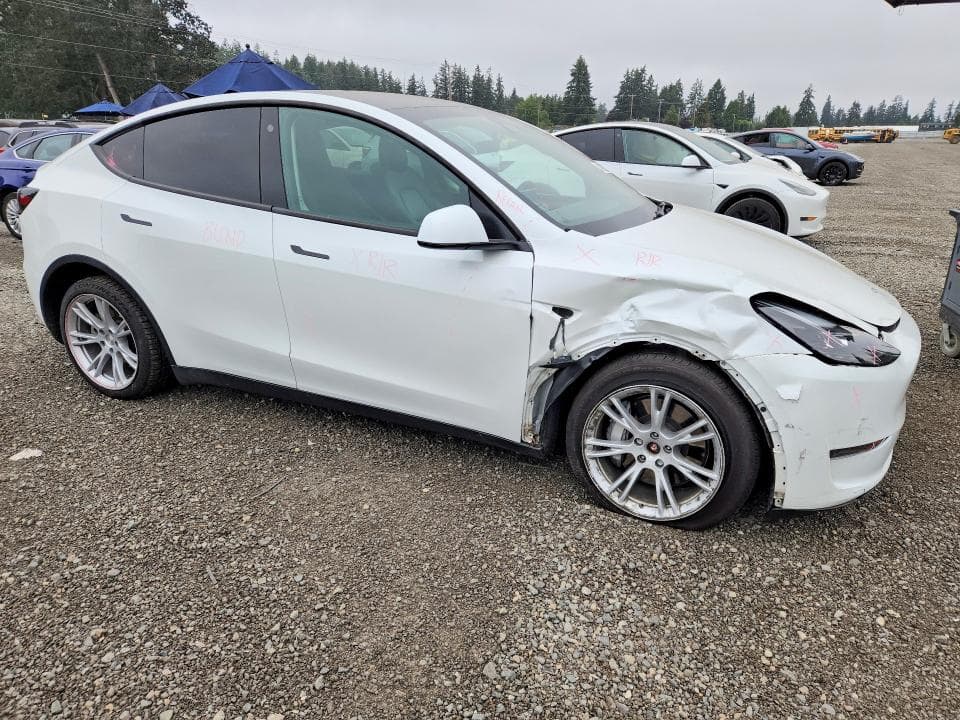 2023 TESLA MODEL Y 4