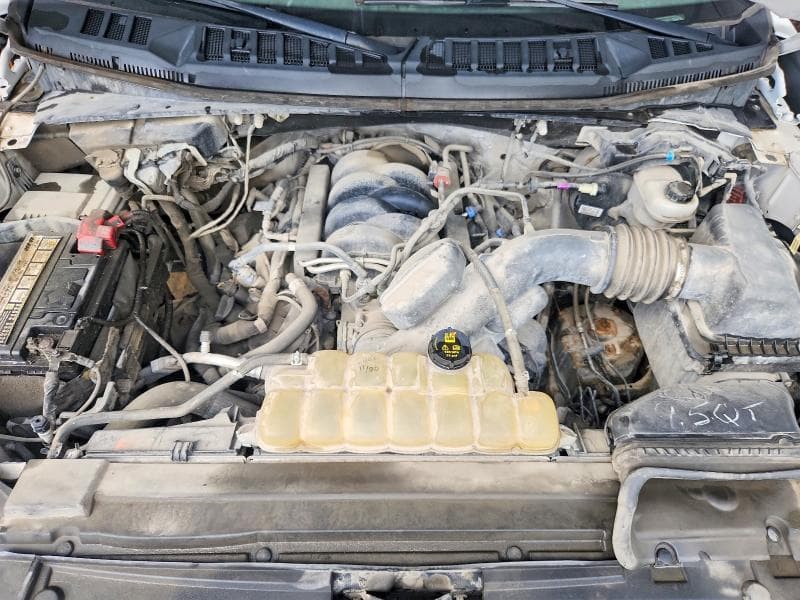 2019 FORD F150 SUPERCREW 11