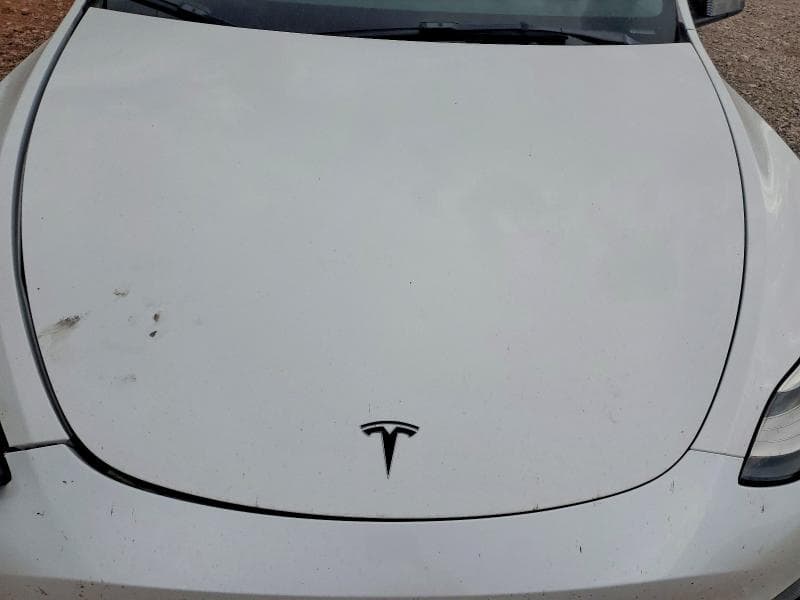 2021 TESLA MODEL Y 11