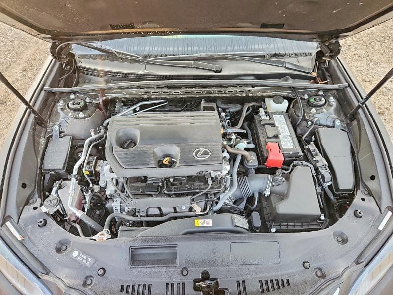 2024 LEXUS ES 250 BASE 11