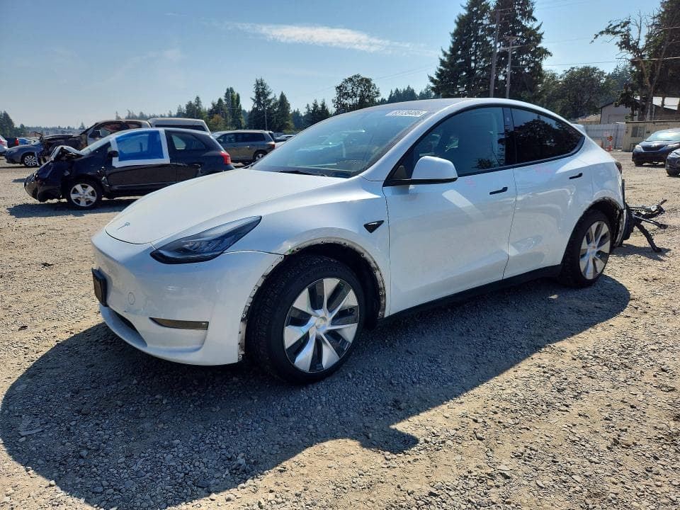 2023 TESLA MODEL Y - 1