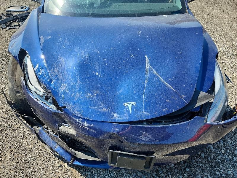 2021 TESLA MODEL 3 11