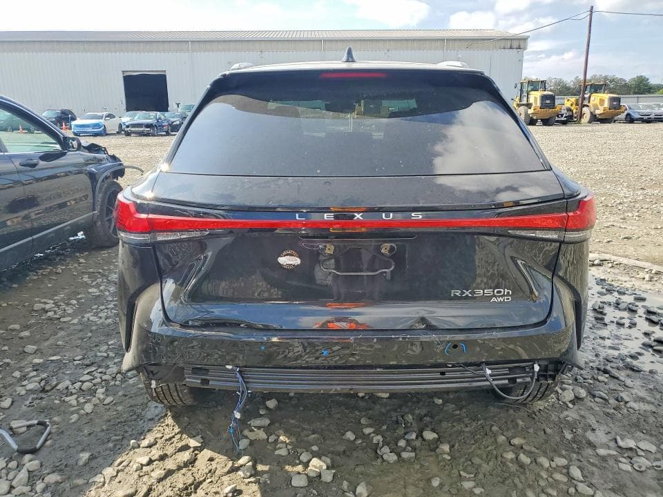 2025 LEXUS RX 350H LUXURY 6