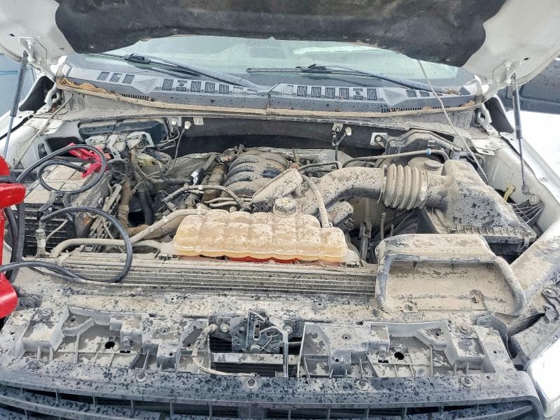 2019 FORD F150 SUPERCREW 11