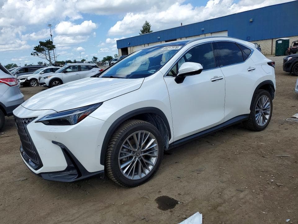 2024 LEXUS NX 350H LUXURY