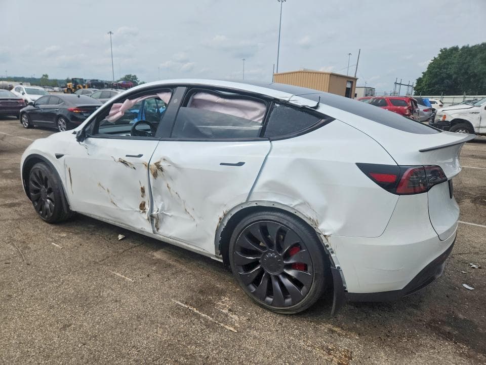 2024 TESLA MODEL Y 2