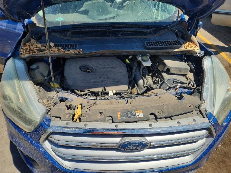 2017 FORD ESCAPE SE 12