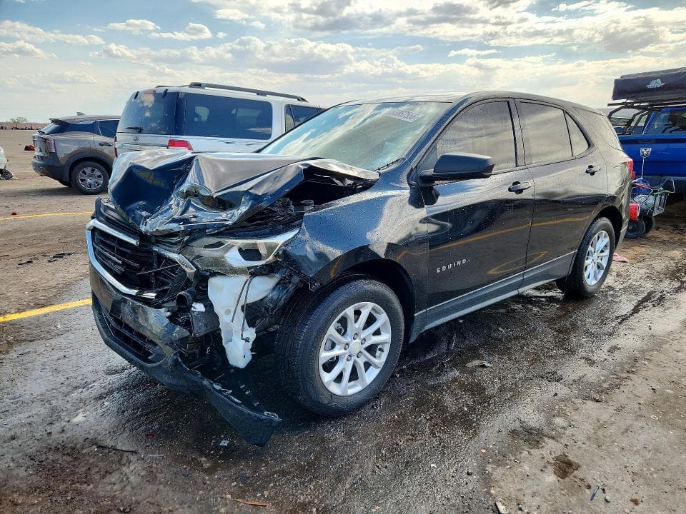 2019 CHEVROLET EQUINOX LS - 1