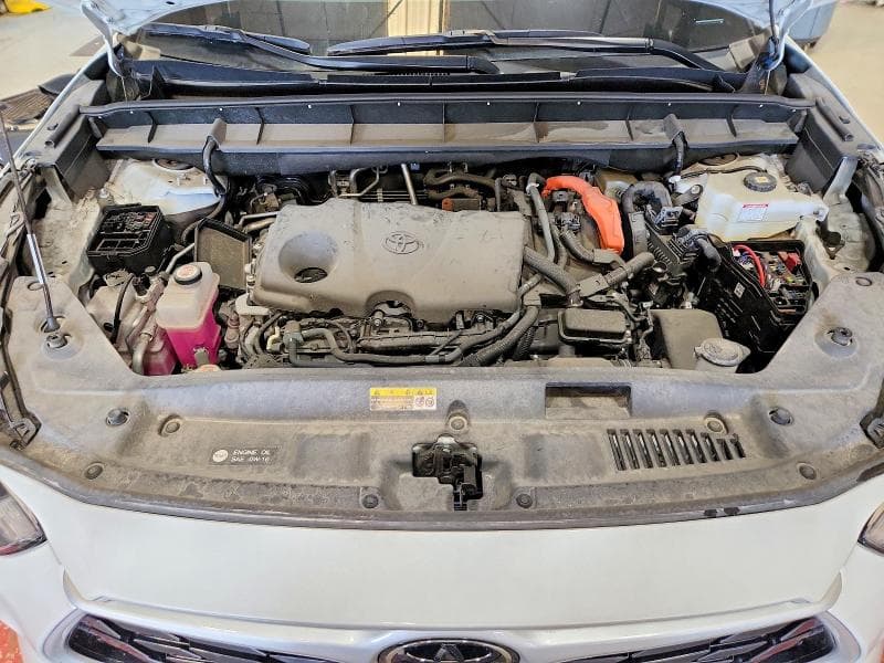 2025 TOYOTA HIGHLANDER HYBRID XLE 12