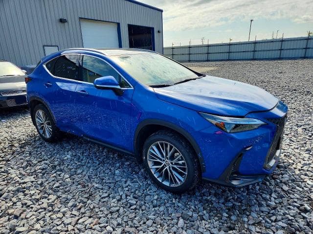 2023 LEXUS NX 350 4