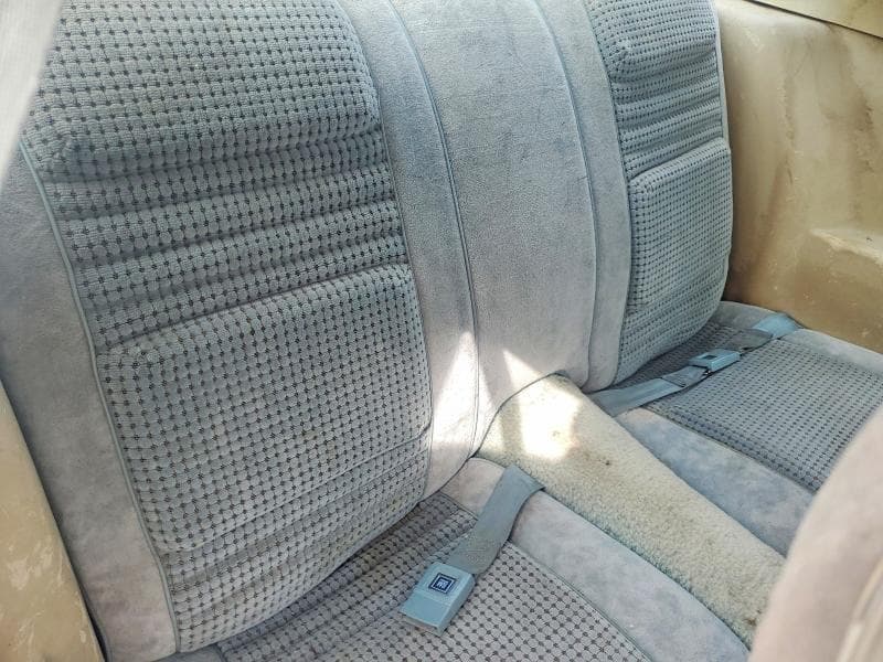 1979 PONTIAC OTHER 10