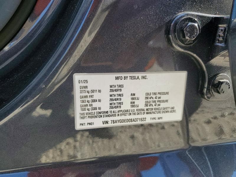 2025 TESLA MODEL Y 13