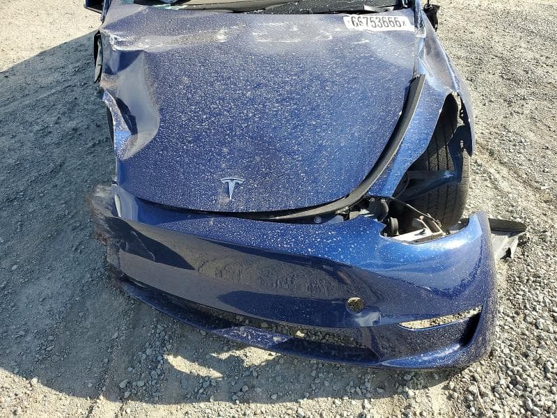2023 TESLA MODEL Y 12