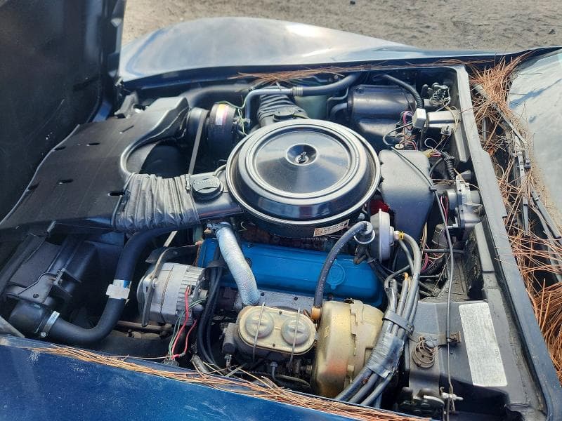 1979 CHEVROLET CORVETTE 12