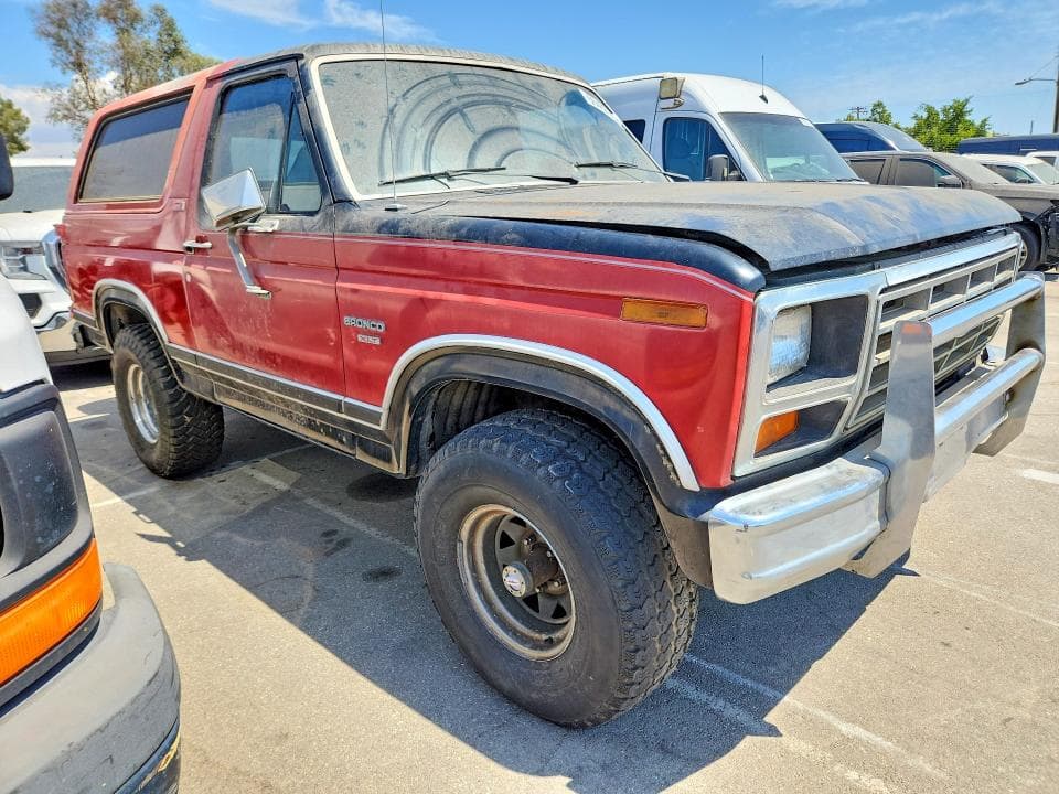 1982 FORD BRONCO U100 4