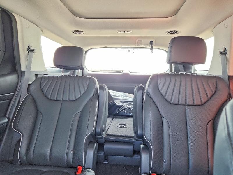 2024 HYUNDAI PALISADE LIMITED 10