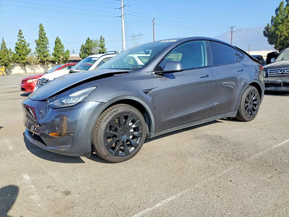 2021 TESLA MODEL Y - 1