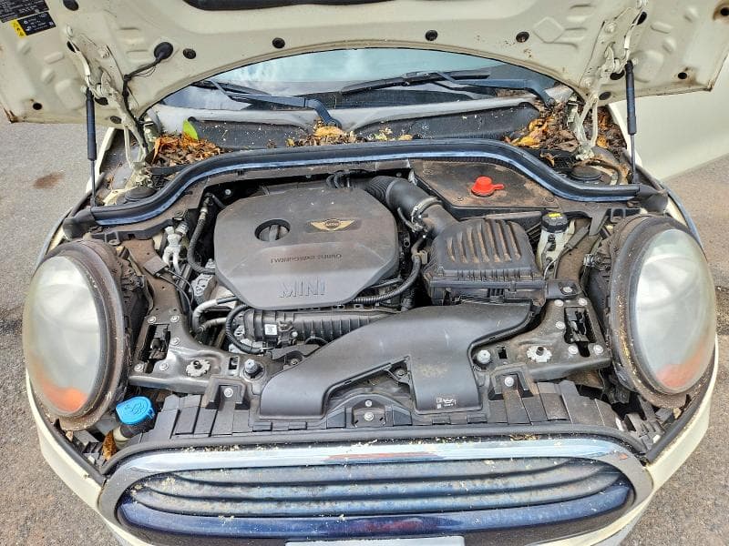 2017 MINI COOPER 11