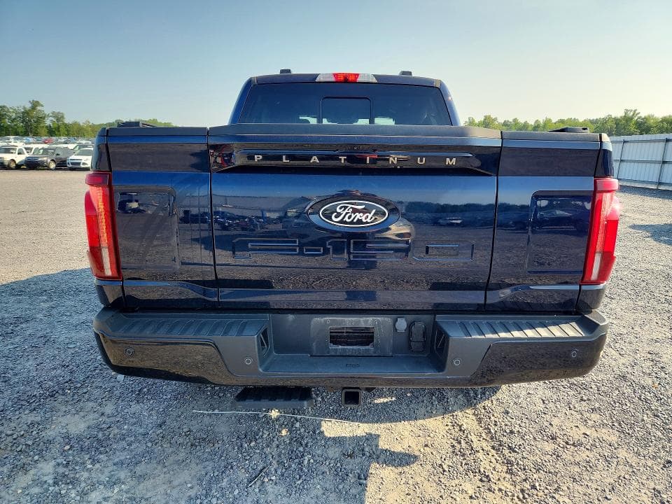 2024 FORD F150 PLATINUM 6