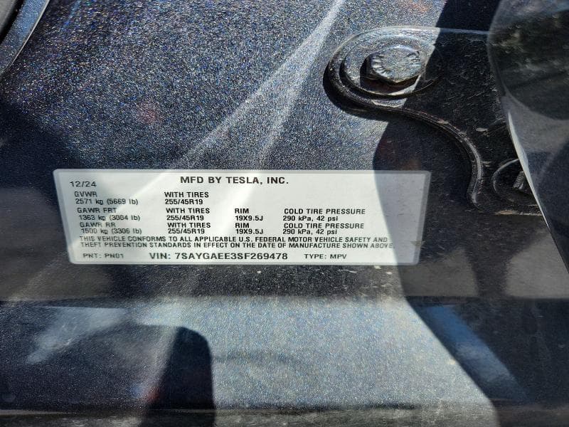 2025 TESLA MODEL Y 13
