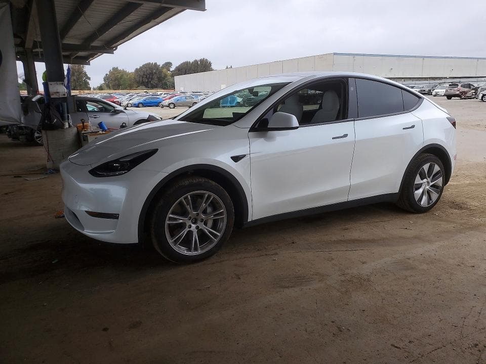 2023 TESLA MODEL Y - 1