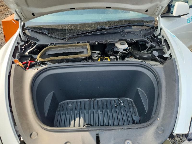 2020 TESLA MODEL Y 11