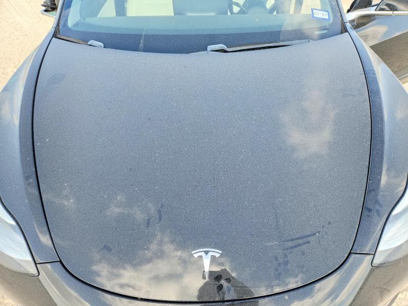 2019 TESLA MODEL 3 11