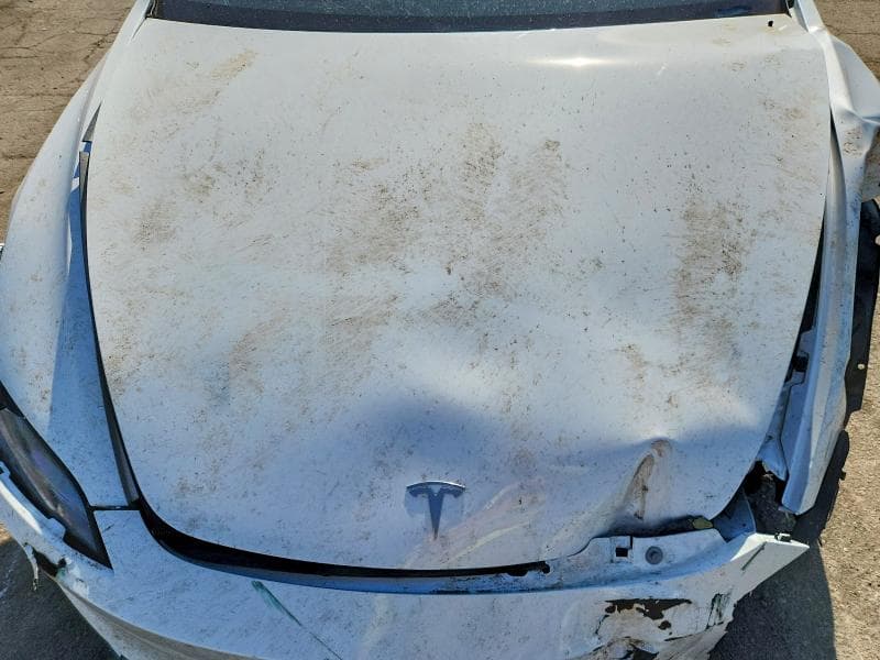 2025 TESLA MODEL 3 11