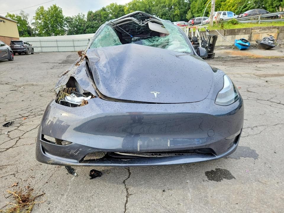 2023 TESLA MODEL Y 5