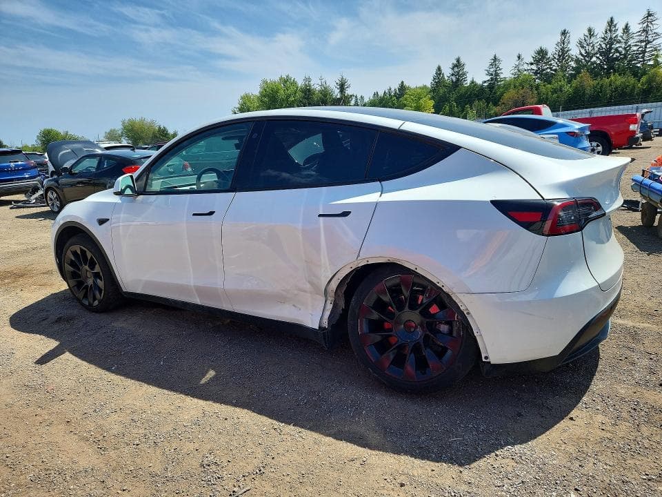 2023 TESLA MODEL Y 2