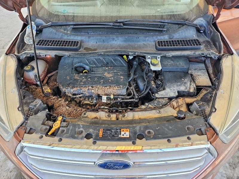 2017 FORD ESCAPE TITANIUM 11