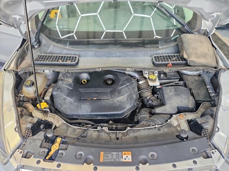 2019 FORD ESCAPE SE 12