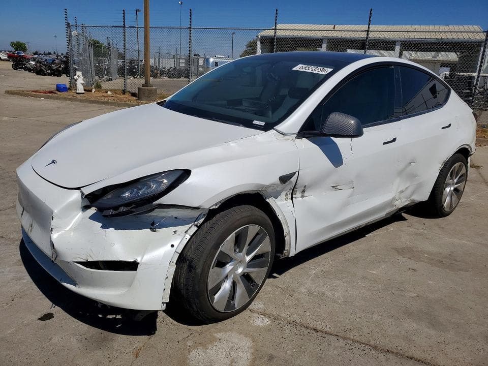 2021 TESLA MODEL Y - 1
