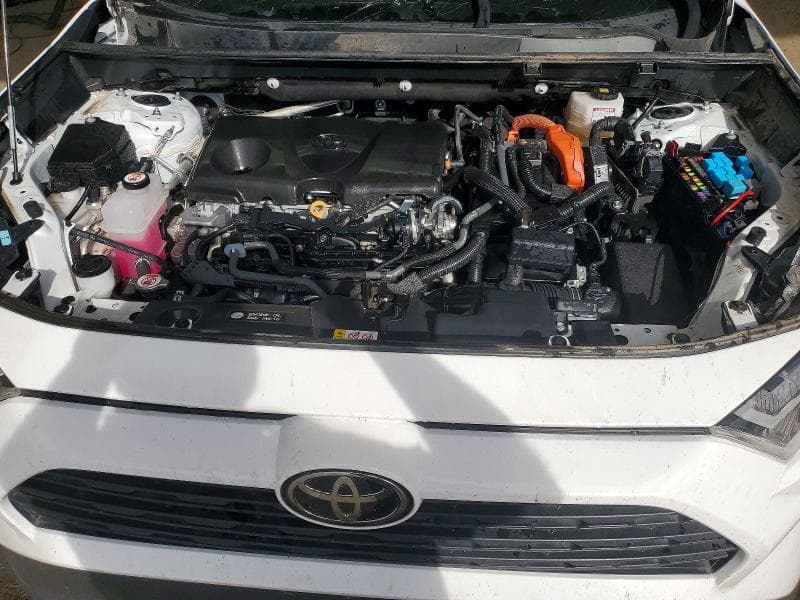 2025 TOYOTA RAV4 HYBRID XLE 12