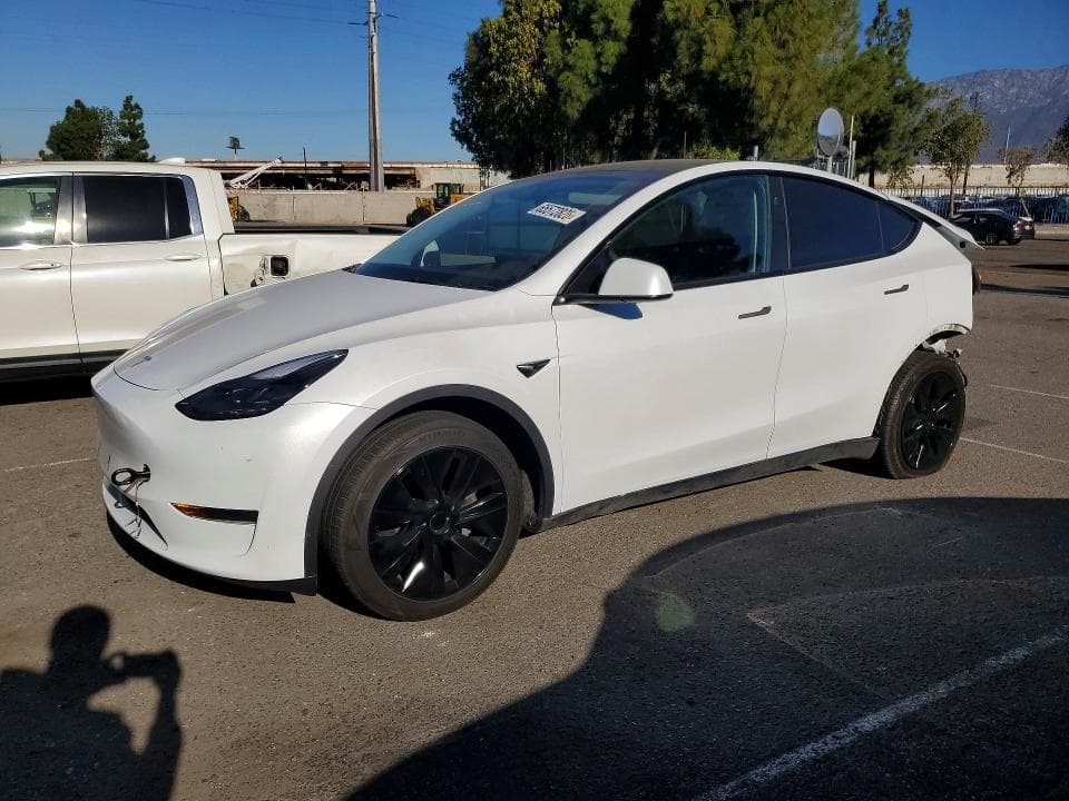 2024 TESLA MODEL Y - 1