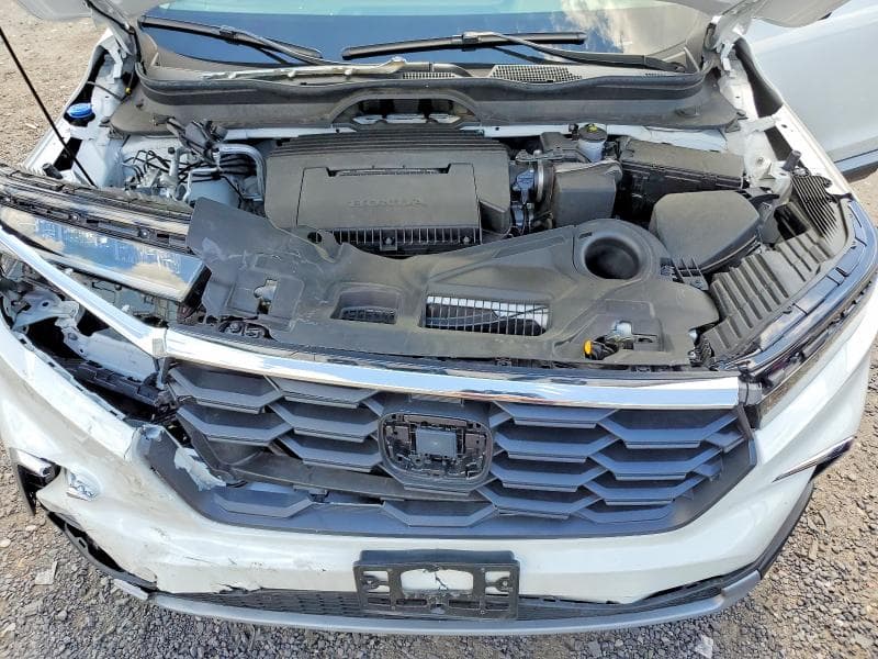 2025 HONDA PILOT EXL 12