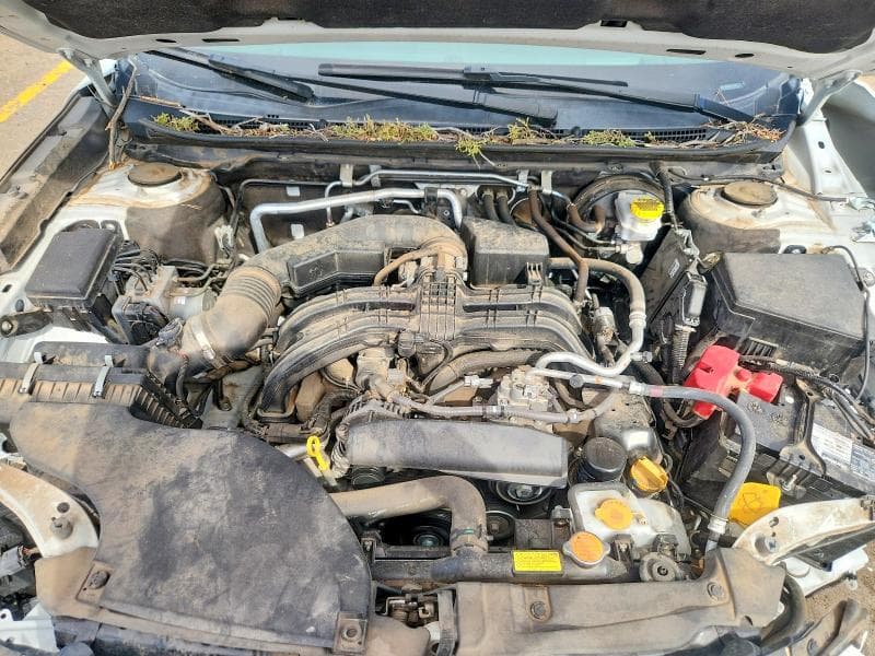 2021 SUBARU OUTBACK LIMITED 11