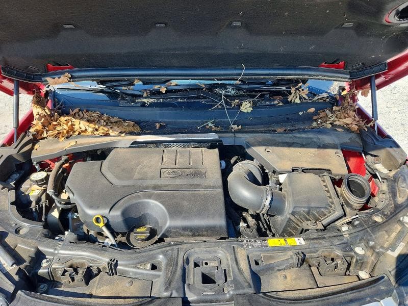 2022 LAND ROVER DISCOVERY SPORT SE 12