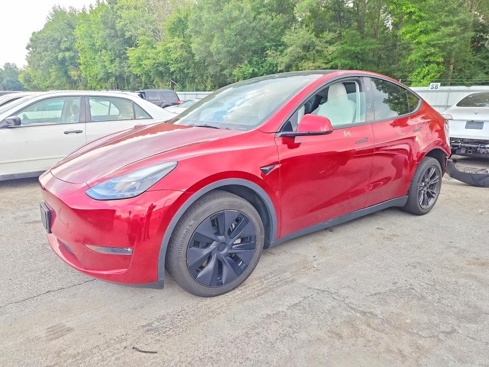 2025 TESLA MODEL Y - 1