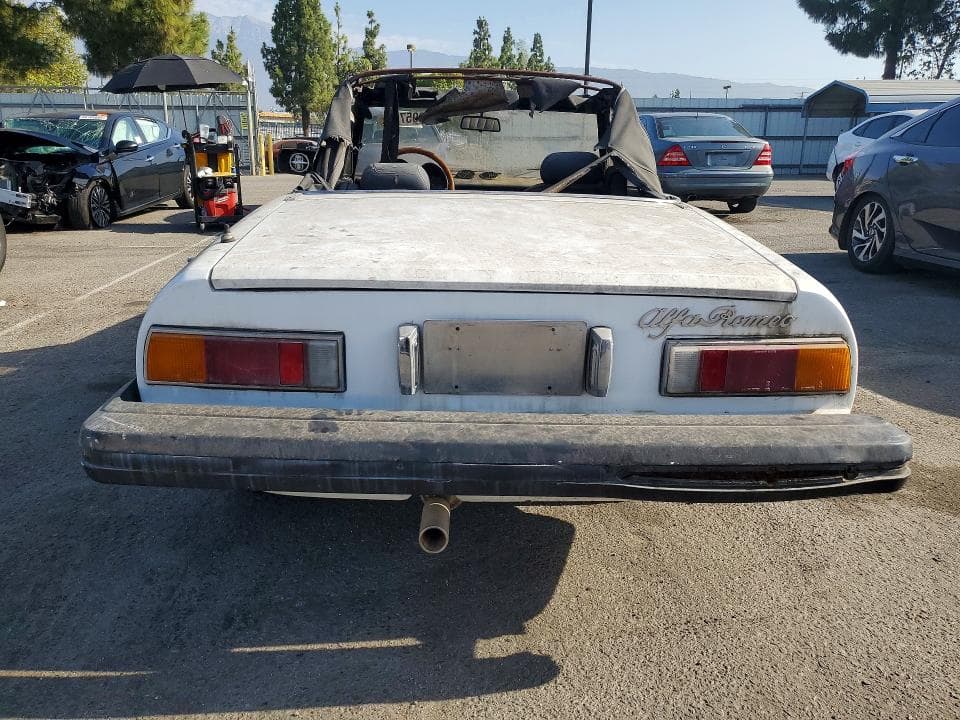 1982 ALFA ROMEO VELOCE 2000 SPIDER 6