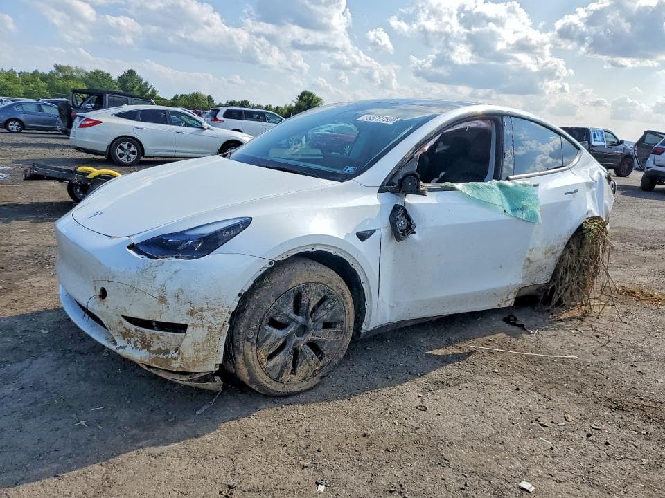 2024 TESLA MODEL Y - 1