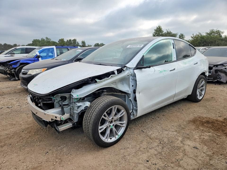 2024 TESLA MODEL Y - 1