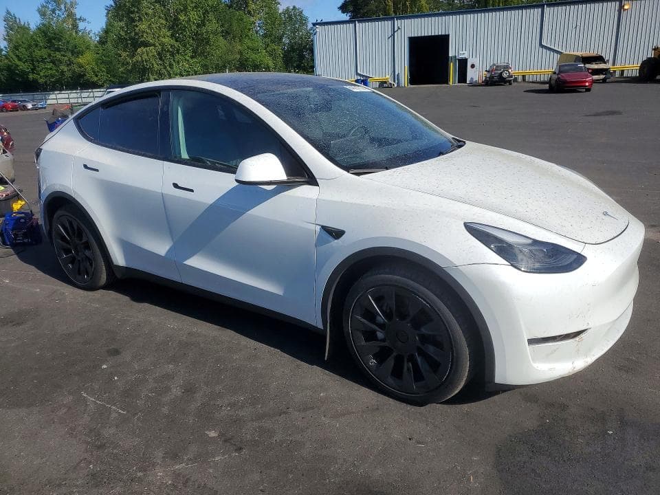 2024 TESLA MODEL Y 4
