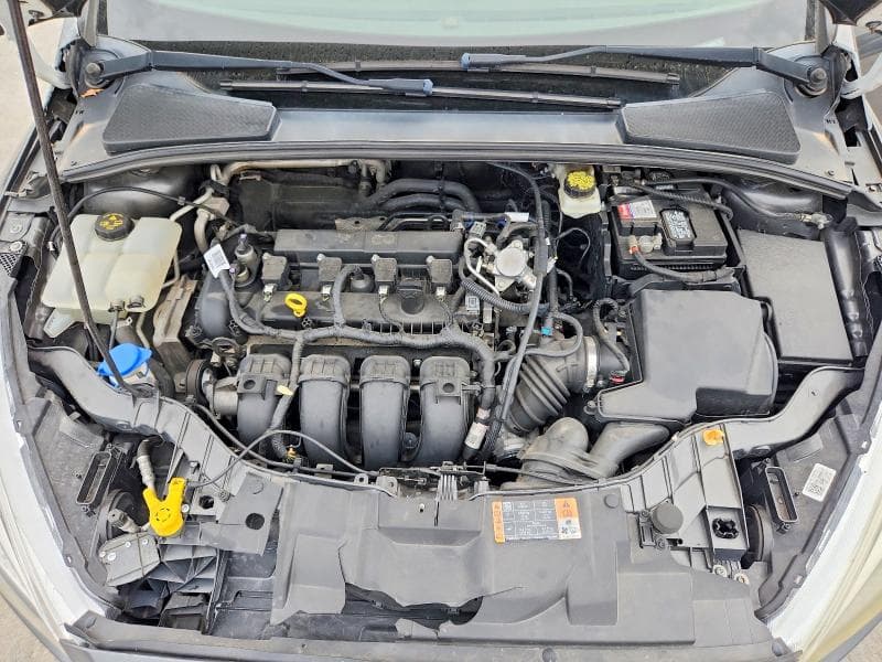 2017 FORD FOCUS SE 11