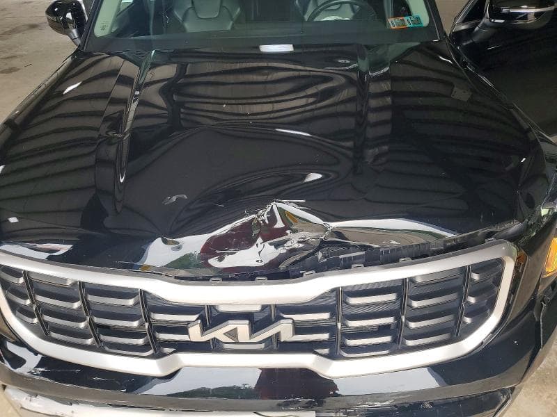 2024 KIA TELLURIDE S 12