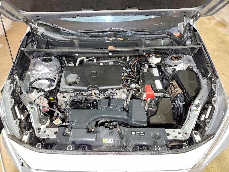 2023 TOYOTA RAV4 LE 12