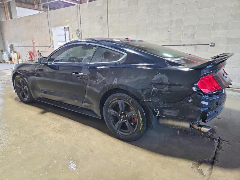 2019 FORD MUSTANG 2